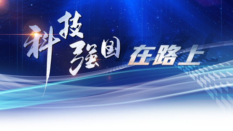 企业搜索定制开发：构建高效信息检索的秘籍